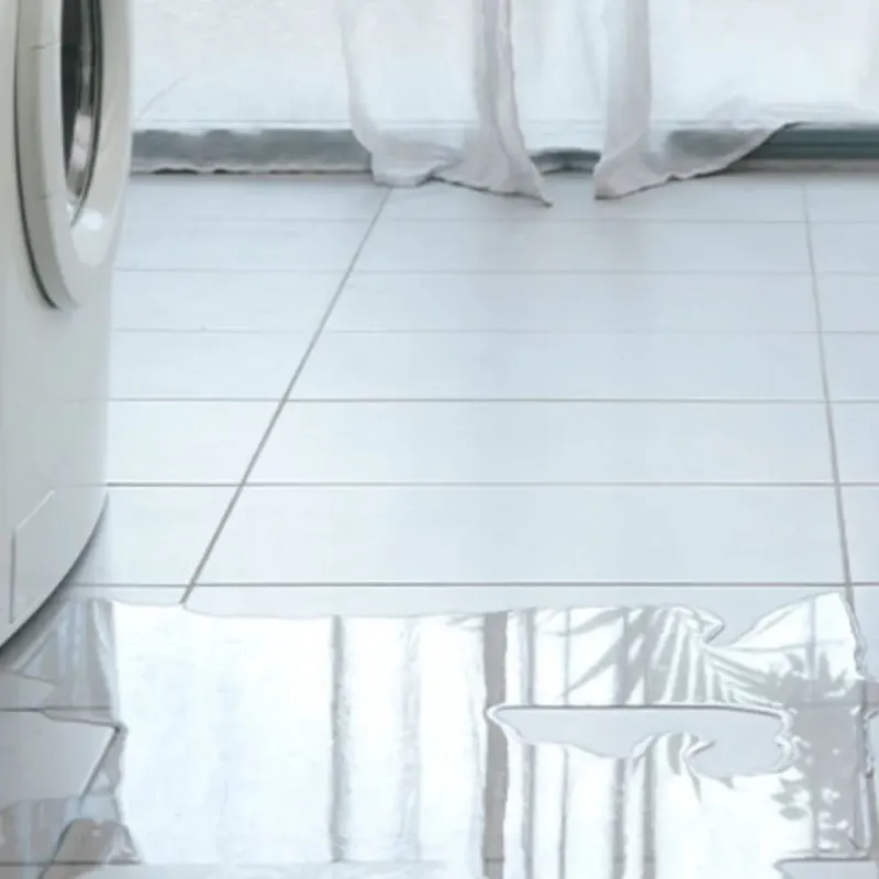 Appliance Leak Cleanup in Terramuggus, CT