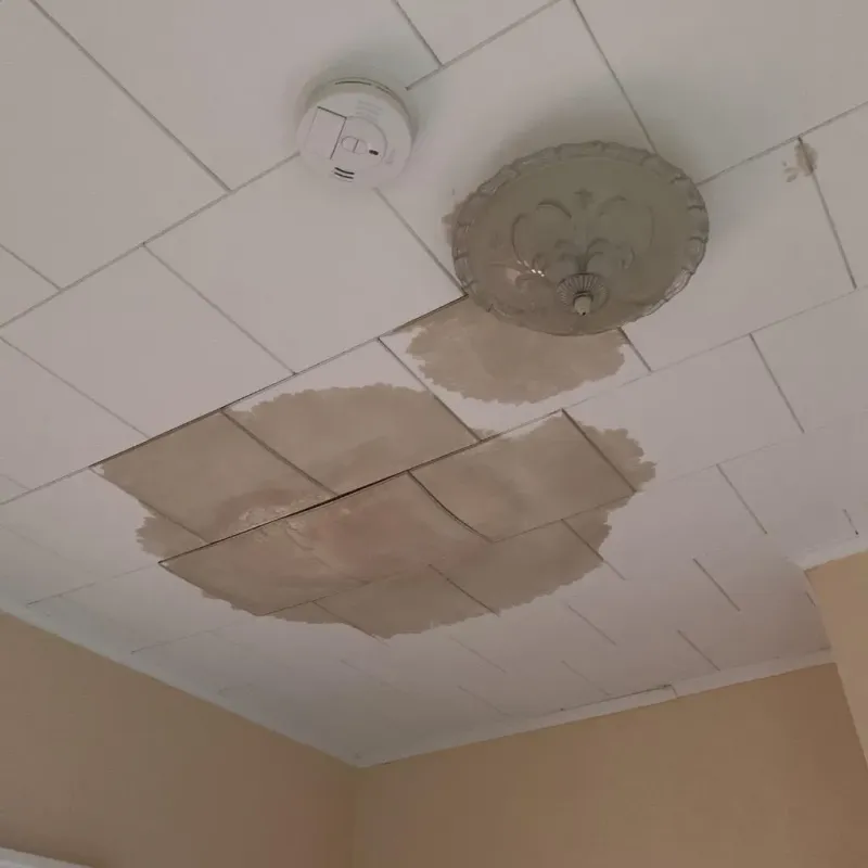Ceiling Water Damage Repair in Terramuggus, CT