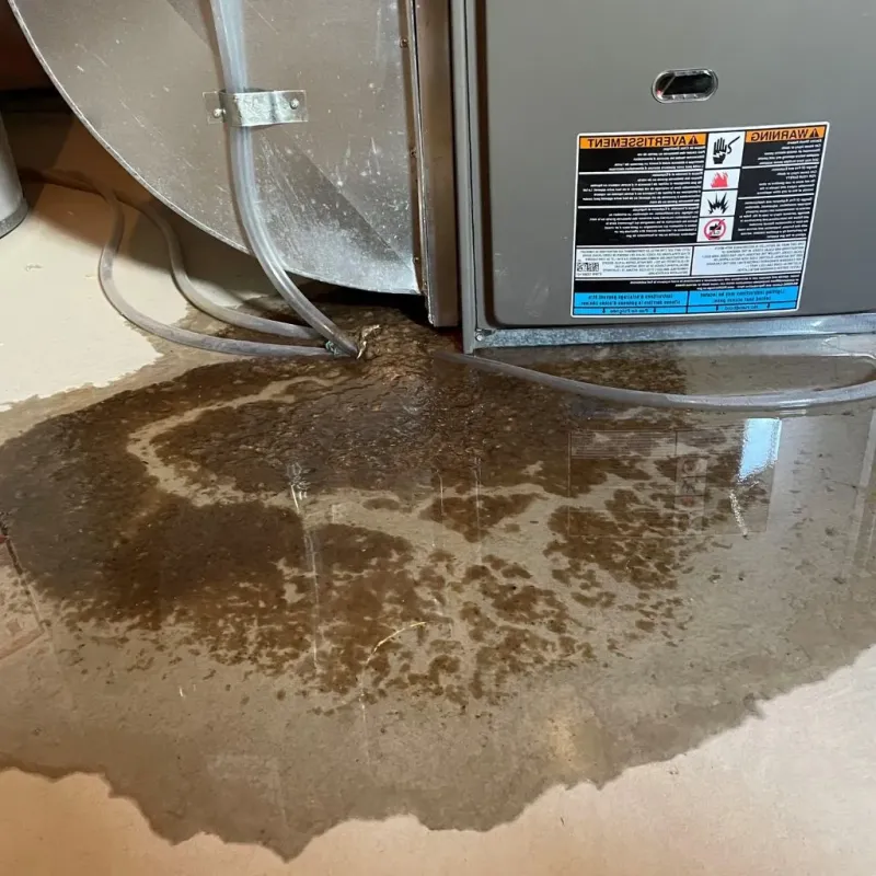 Pipe Burst and Leak Restoration in Terramuggus, CT