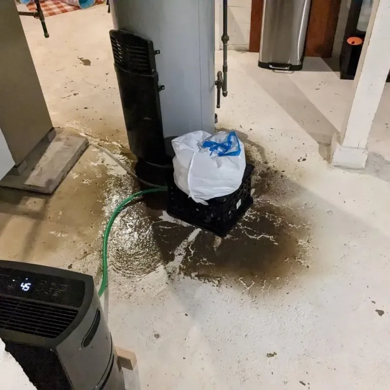 Sewage Backup Cleanup Service in Terramuggus, CT